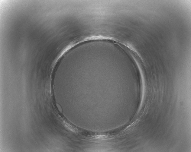 X0000054461173200508051943