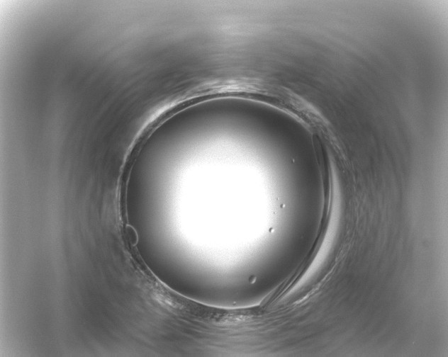 X0000054461174200508051943