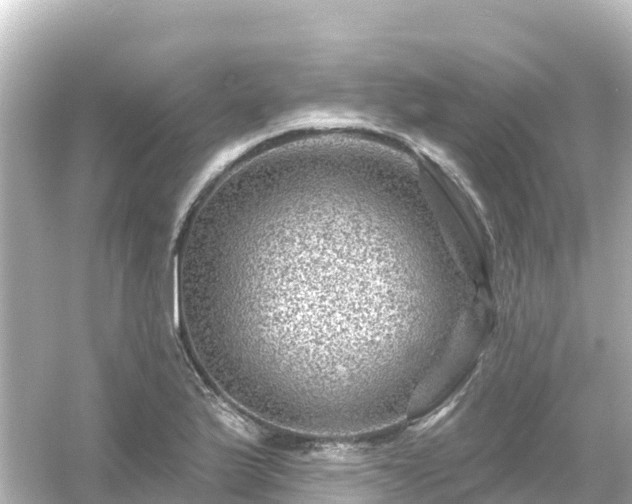 X0000054461175200508051943