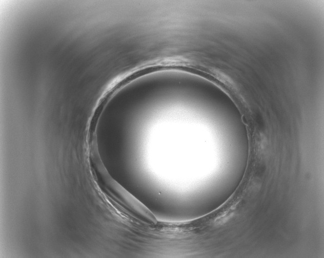 X0000054461176200508051943