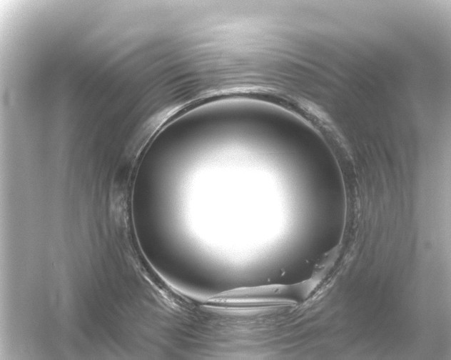 X0000054461177200508051943