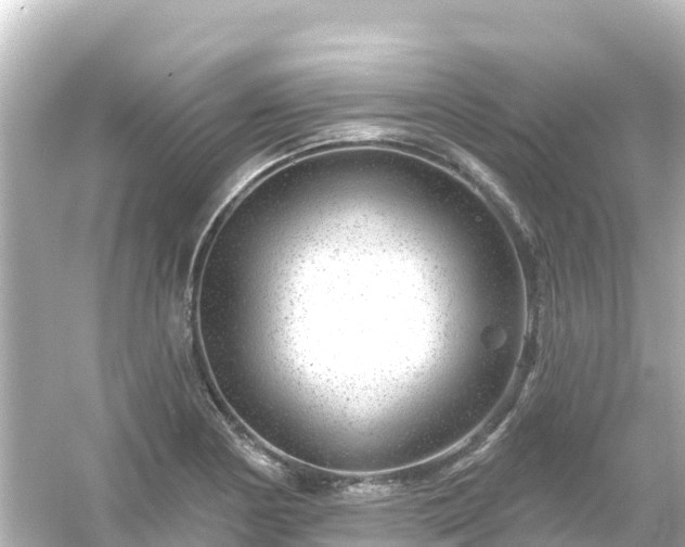 X0000054461178200508051943