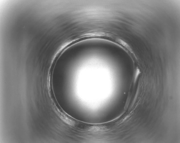 X0000054461179200508051943