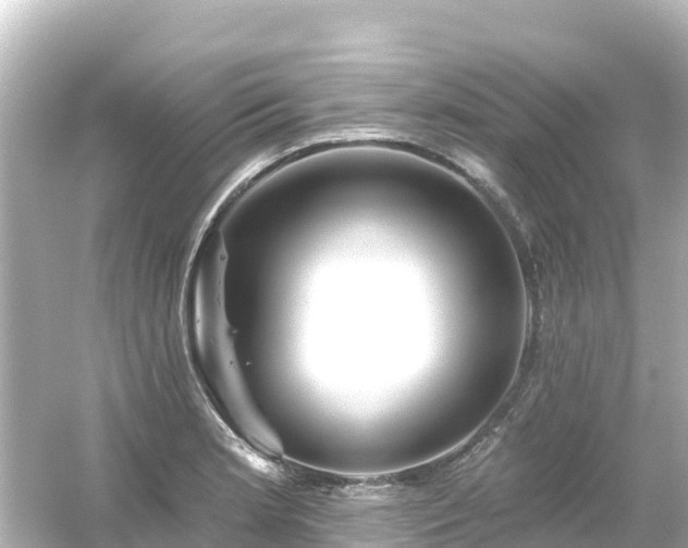 X0000054461181200508051943