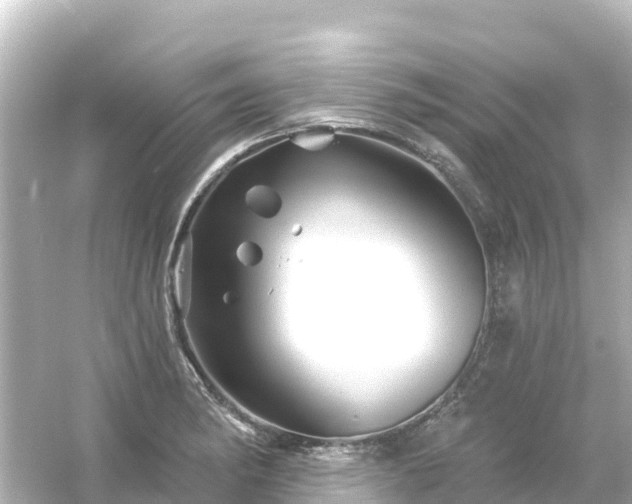 X0000054461182200508051943