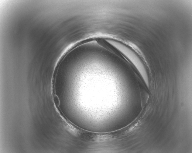 X0000054461183200508051943