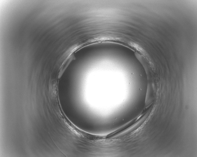 X0000054461185200508051943