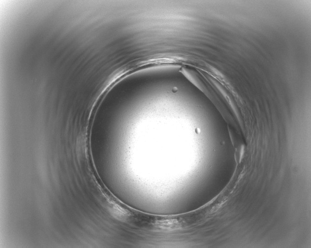 X0000054461186200508051943