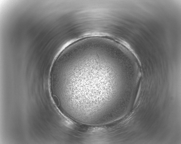 X0000054461187200508051943