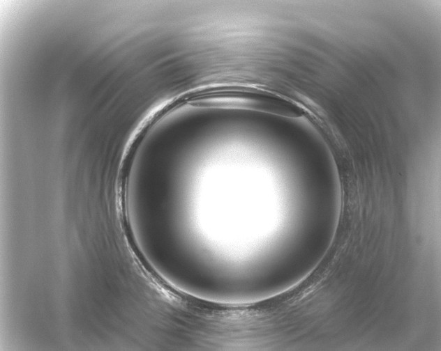 X0000054461188200508051943