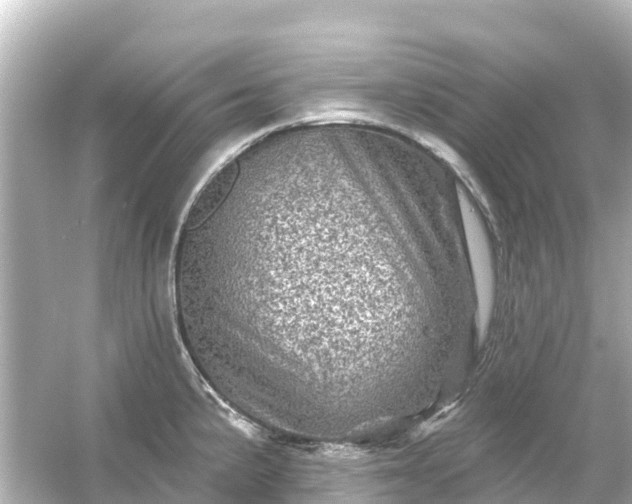 X0000054461191200508051943