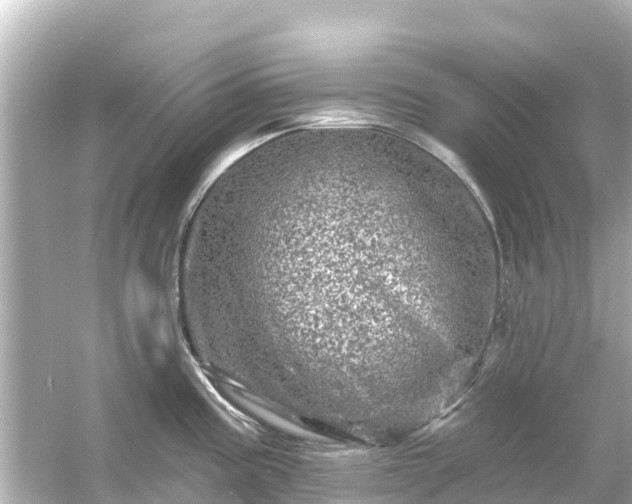 X0000054461195200508051943