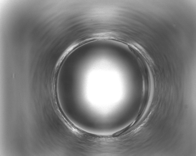 X0000054461196200508051943