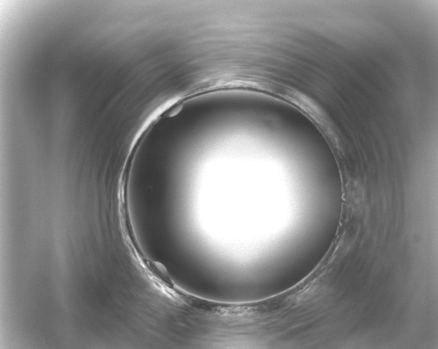 X0000054461198200508051943