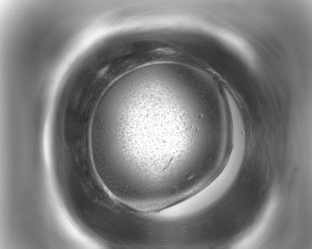 X0000054461199200508051943