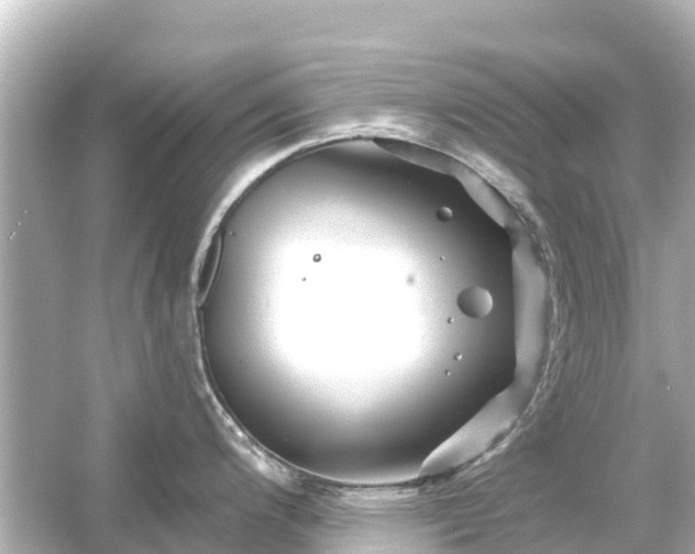 X0000054461200200508051943