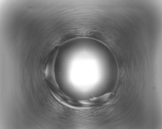 X0000054461202200508051942