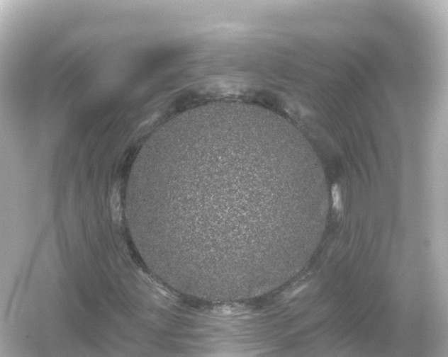 X0000054461203200508051942