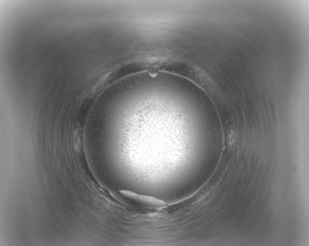 X0000054461204200508051942