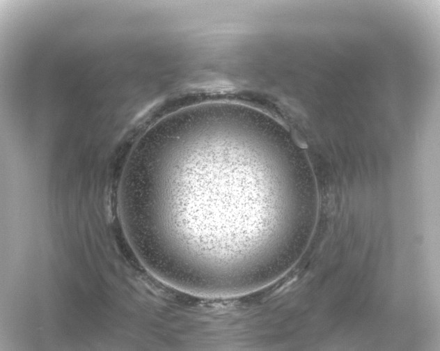 X0000054461205200508051942