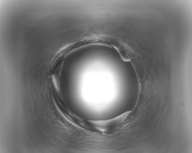 X0000054461206200508051942