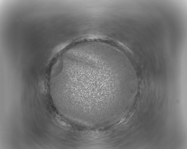 X0000054461207200508051942