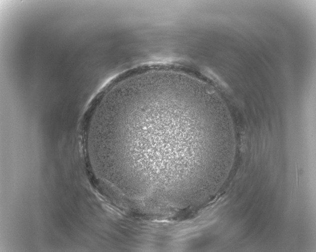 X0000054461208200508051942