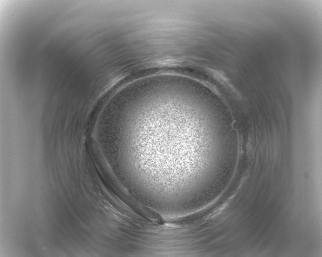 X0000054461209200508051942