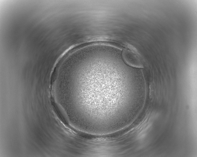 X0000054461212200508051942