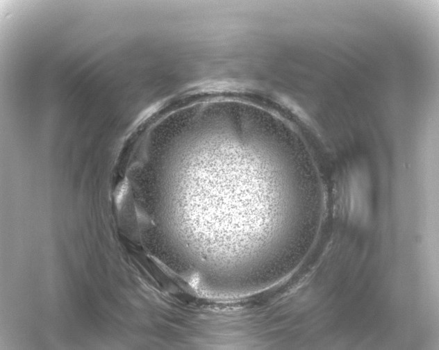 X0000054461213200508051942