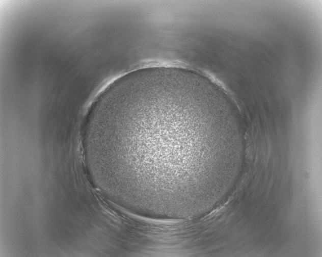 X0000054461215200508051942