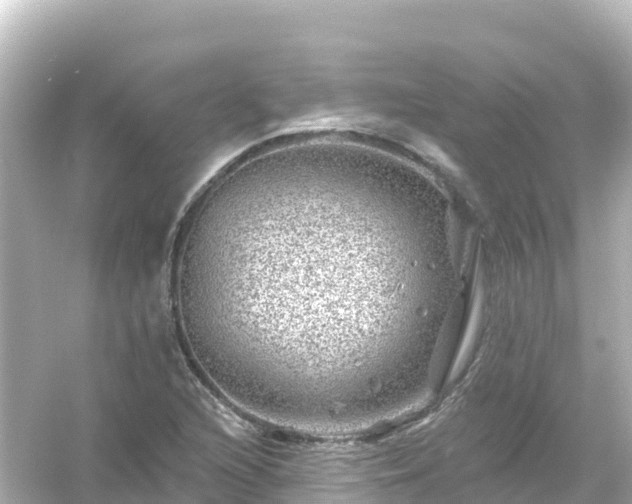 X0000054461216200508051942