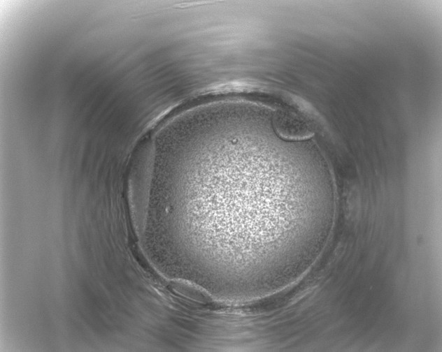 X0000054461217200508051942