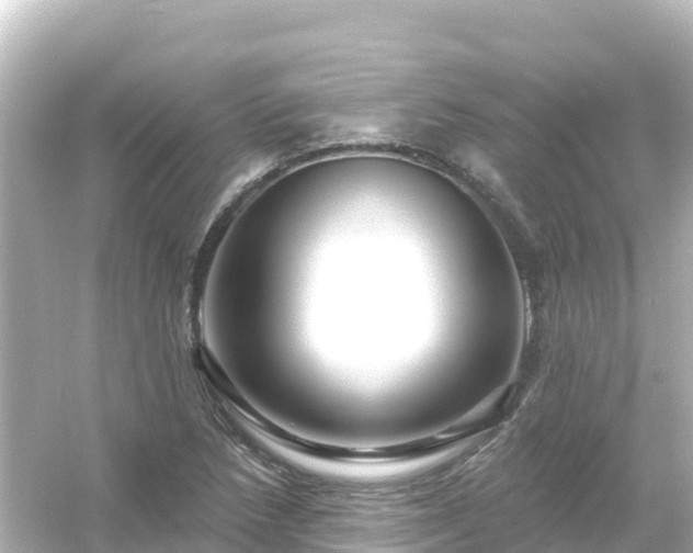 X0000054461218200508051942