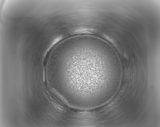 X0000054461219200508051942