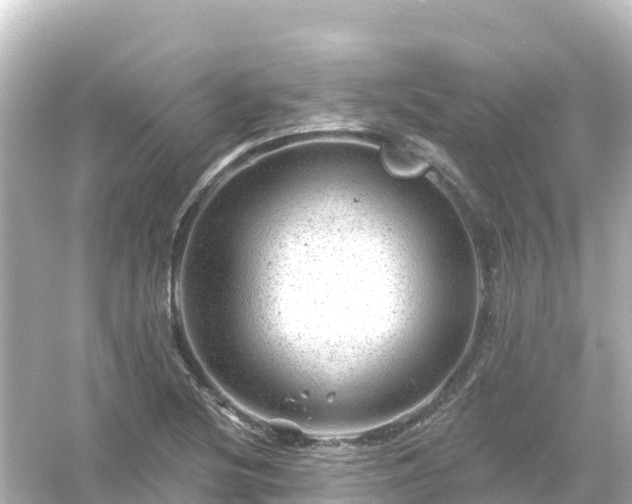 X0000054461220200508051942