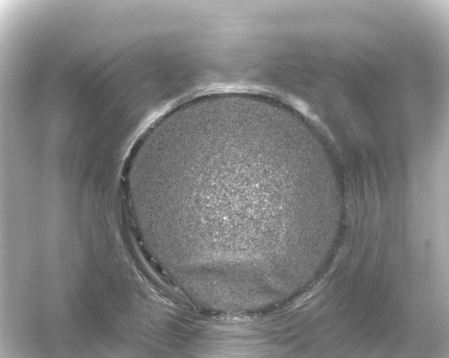 X0000054461221200508051942