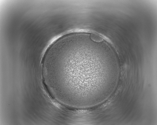 X0000054461223200508051942