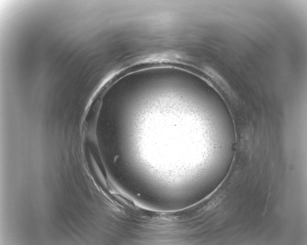 X0000054461224200508051942