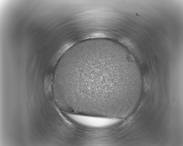 X0000054461225200508051942