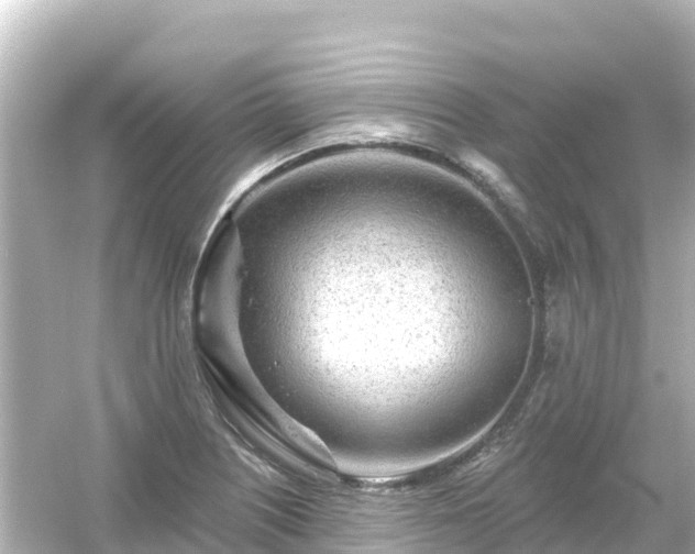 X0000054461226200508051942