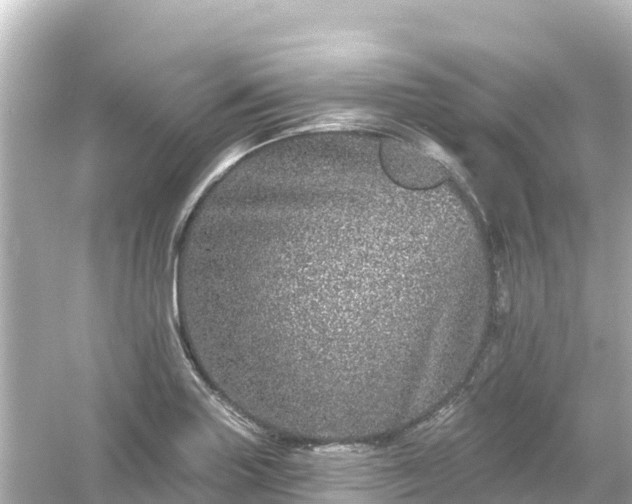 X0000054461227200508051942