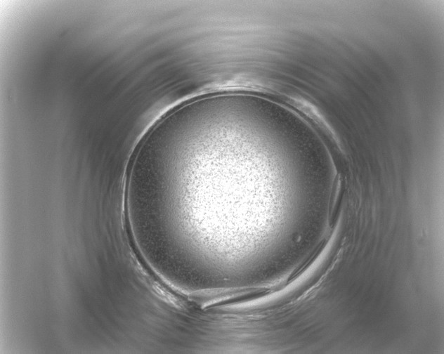 X0000054461228200508051942