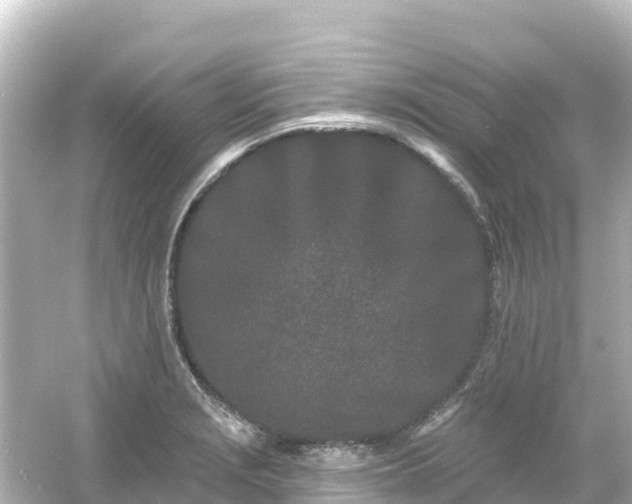 X0000054461229200508051942