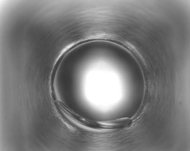 X0000054461230200508051942