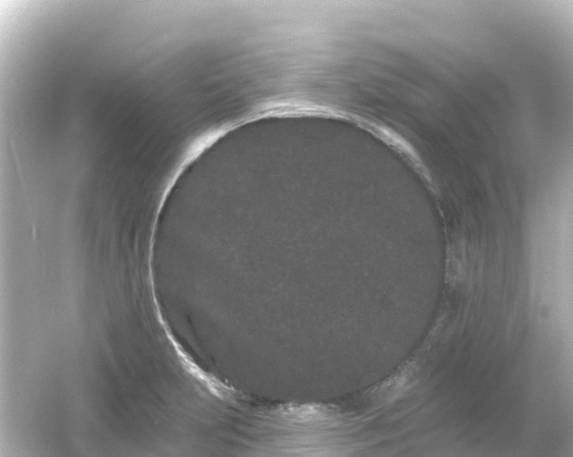 X0000054461231200508051942