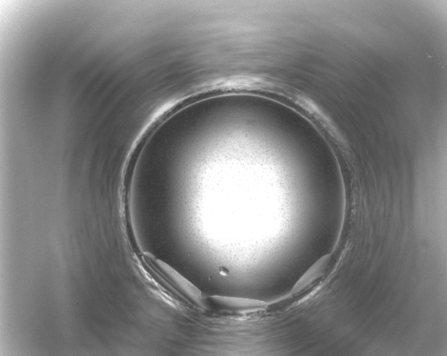 X0000054461232200508051942