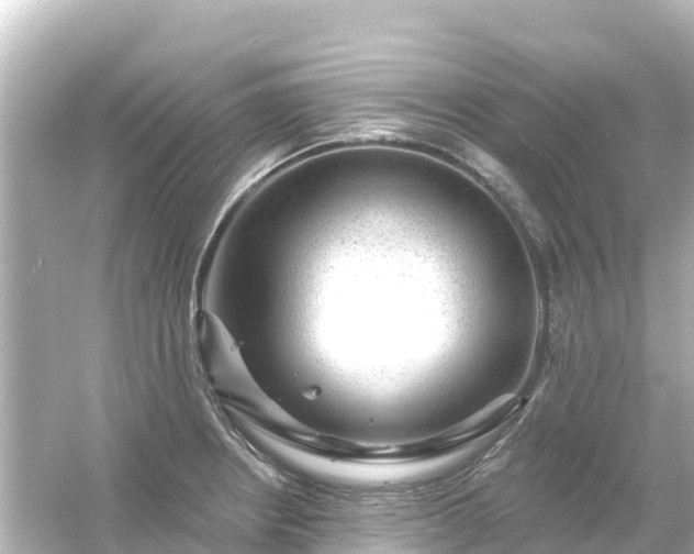 X0000054461234200508051942