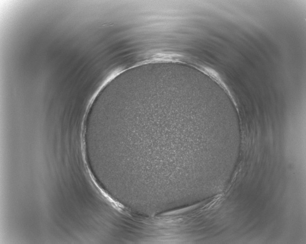 X0000054461235200508051942