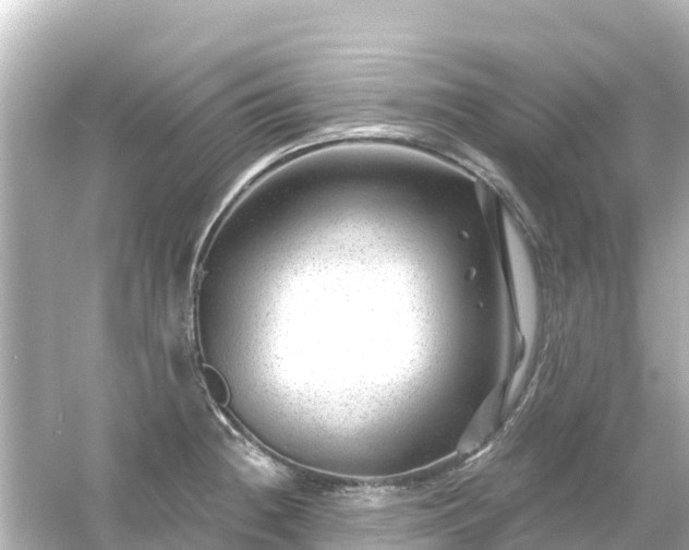 X0000054461236200508051942